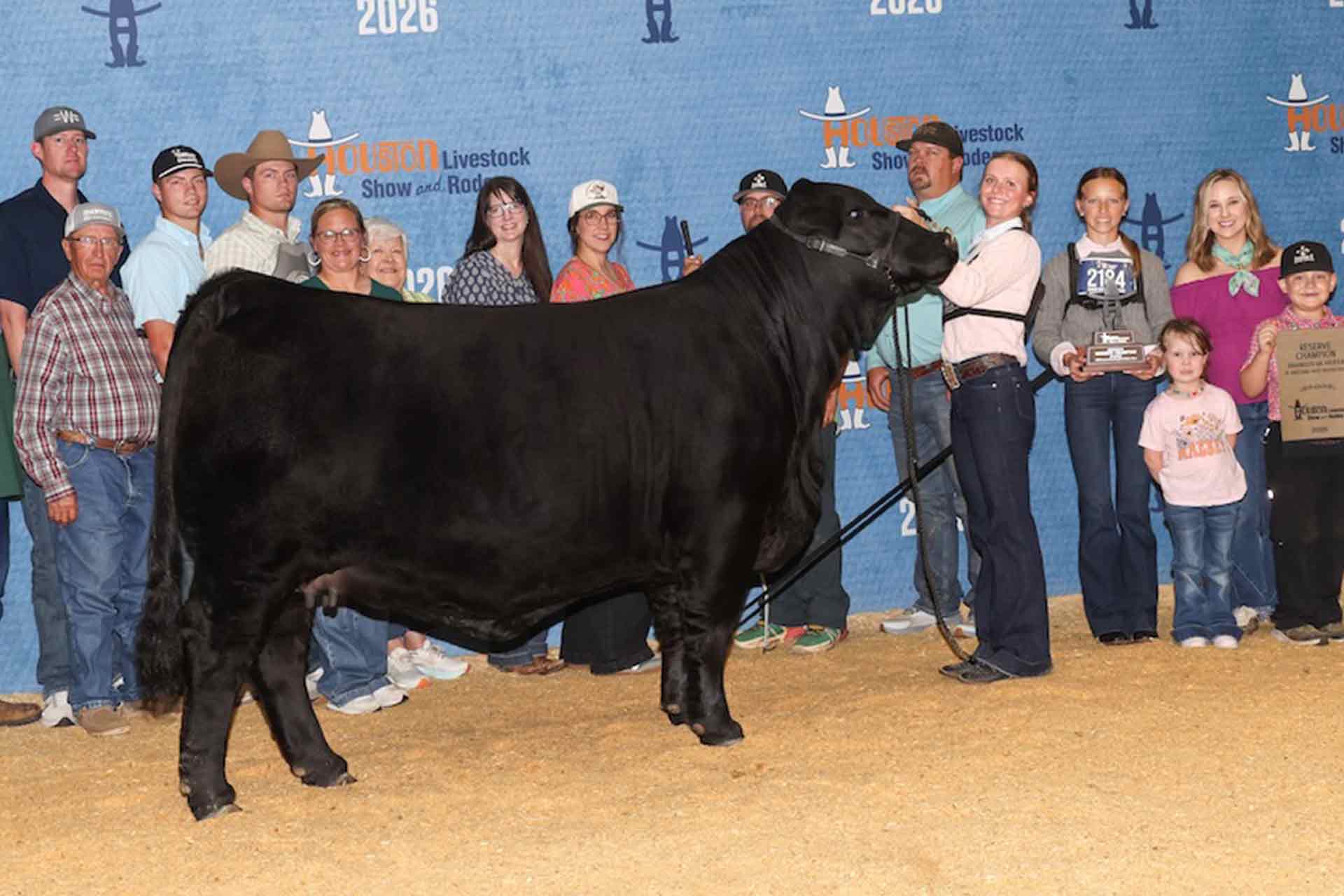 KK Miss Houdini 157M2